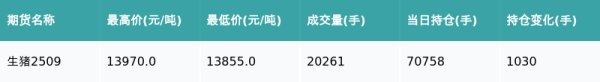 驰盈配资 生猪主力合约收涨0.32%