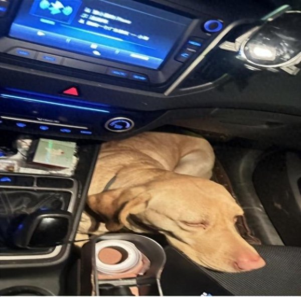 诚金资产 有一个现象 : 当身边的人开始鼓励你一天打三份工时 , 说明苦日子来了