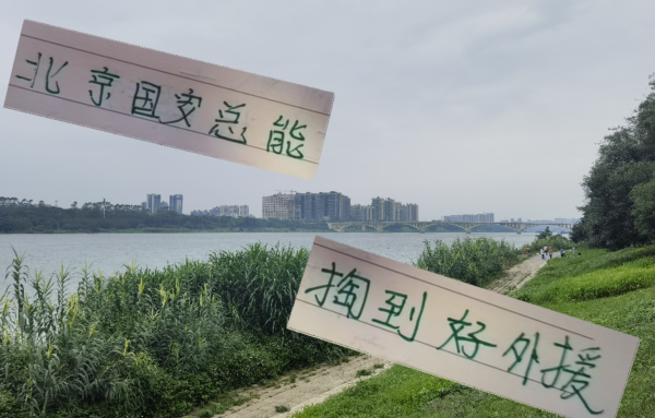 桥宜速配 前北京国安外援 无论是傲骨 梅米 巴坎布 都不够金玟哉混得好！