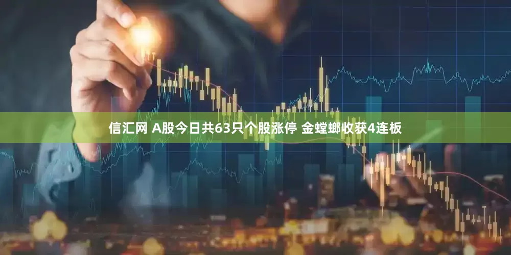 信汇网 A股今日共63只个股涨停 金螳螂收获4连板